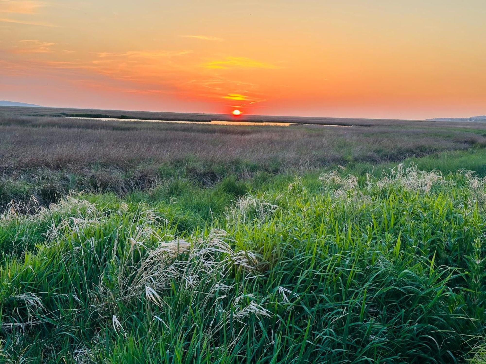 The Rambler'S Rest Cottage, Parkgate, Wirral Parkgate  Exteriér fotografie